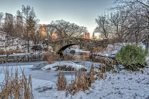 Puente de Gapstow Central Park, Nueva York — Foto de Stock