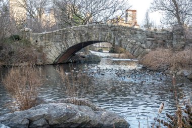 gapstow köprü central park, new york city