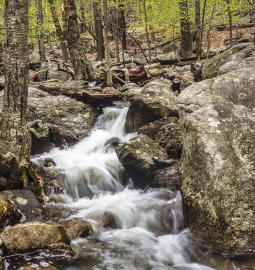 AK dağlar, New Hampshire şelale
