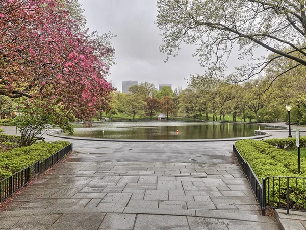 Central Park New York Début Printemps — Photo