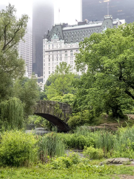 Gapstow Köprüsü Central Park New York City Deki Manhattan Simgeler — Stok fotoğraf