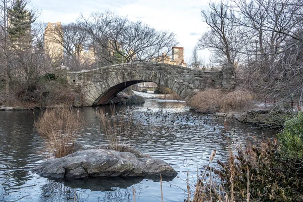 Gapstow köprü central park, new york city — Stok fotoğraf