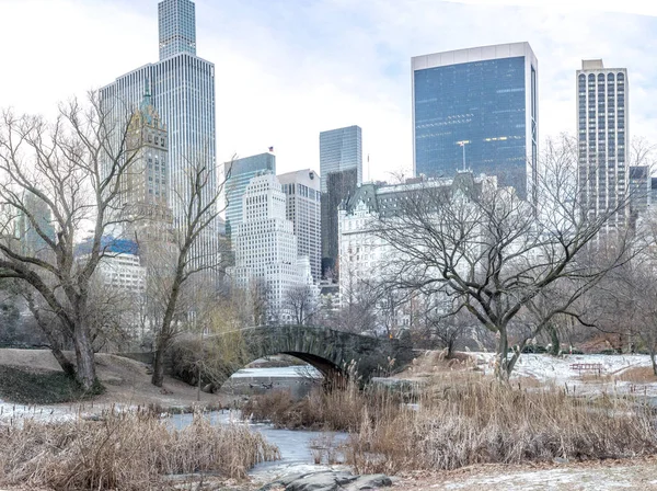 Gapstow köprü central park, new york city — Stok fotoğraf