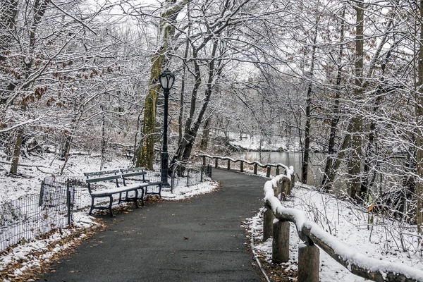 Central Park, Nova Iorque — Fotografia de Stock