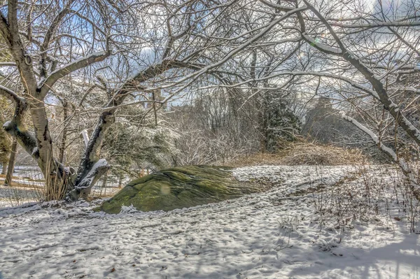 Central Park, Nova Iorque — Fotografia de Stock