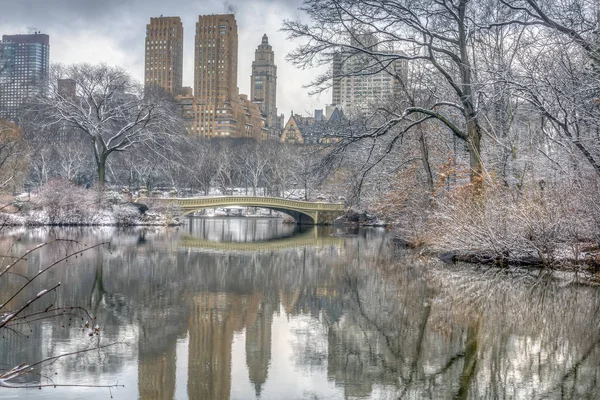 Central Park, New York Şehri — Stok fotoğraf