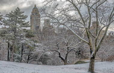 Central Park, New York Şehri