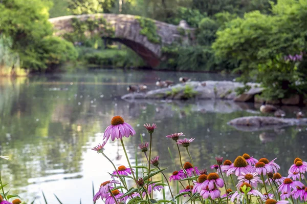 Ponte di Gapstow Central Park, New York — Foto Stock