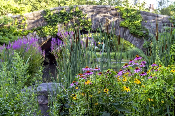 Gapstow-broen Central Park, New York City – stockfoto