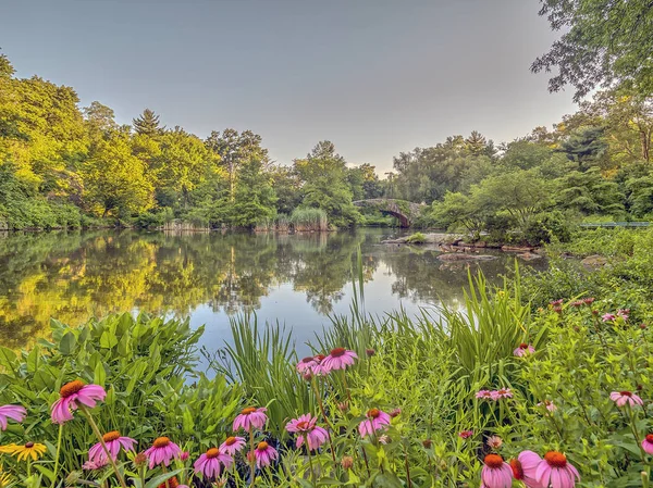 Gapstow mostek central park, Nowy Jork — Zdjęcie stockowe