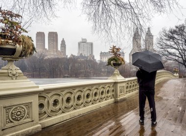 Yay köprü Central Park kış