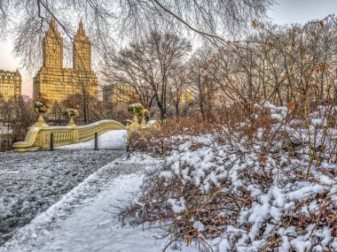 yay köprü Merkez Parkı
