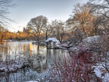 Central Park, Wagner Cove hafif kar