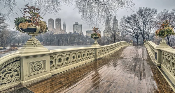 Yay köprü Central Park kış — Stok fotoğraf