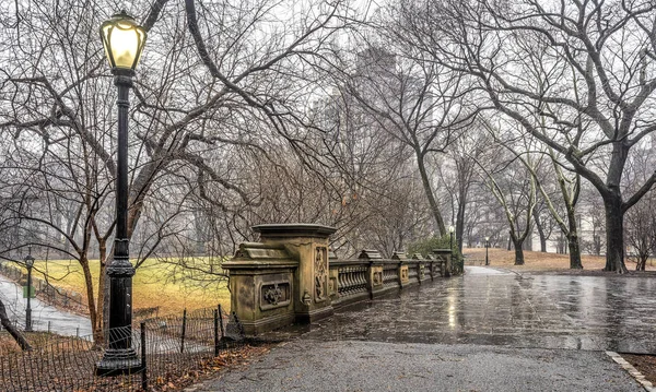 Central Park, New York City leichter Schnee — Stockfoto