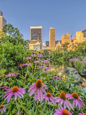 Bahar central park, new york city 