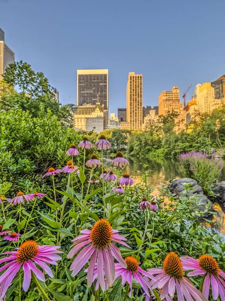 Bahar central park, new york city — Stok fotoğraf