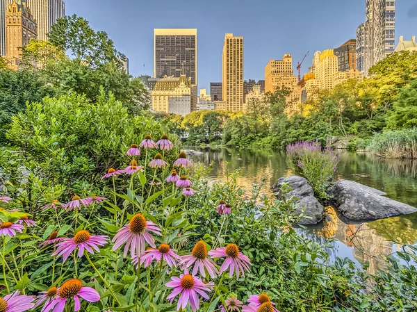 Bahar central park, new york city — Stok fotoğraf