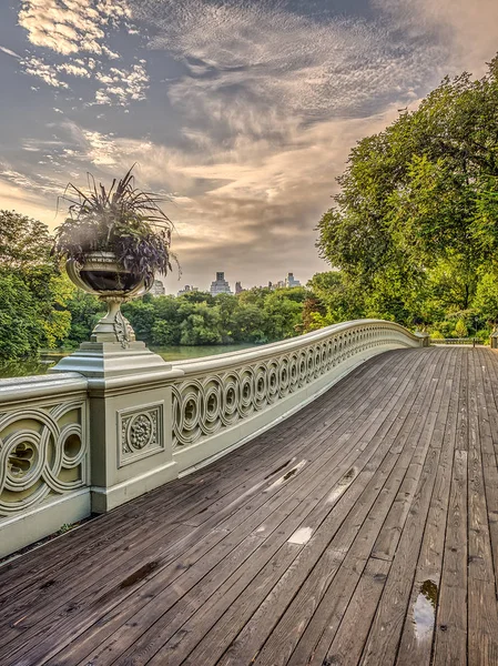 Ponte di prua Central Park — Foto Stock