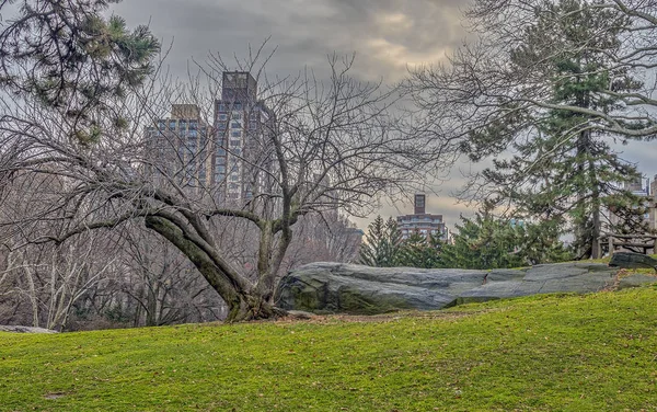 Central Park, New York il giorno d'inverno — Foto Stock