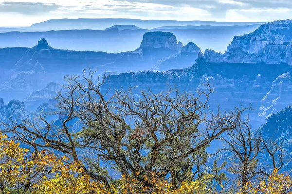 Grand Canyon, Nordrand — Stockfoto