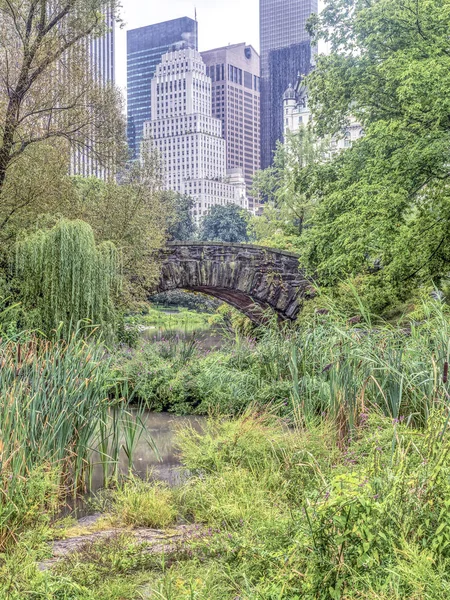 Gapstow mostek central park, Nowy Jork — Zdjęcie stockowe