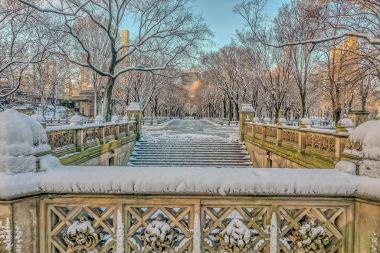  Central Park alışveriş merkezi 