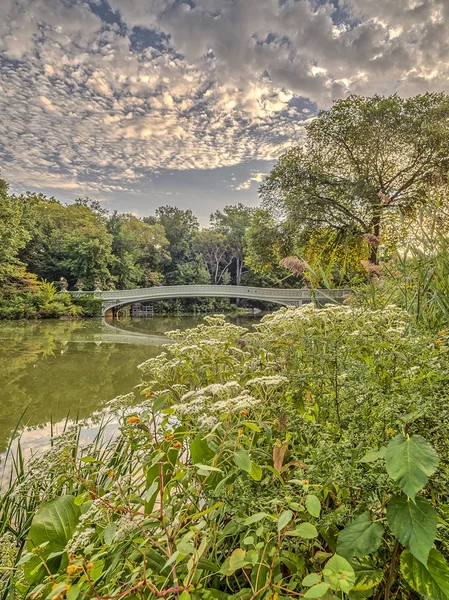 Bow bridge Central Park — Stock Photo, Image