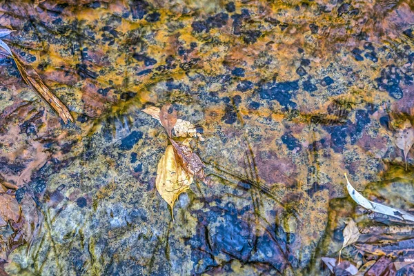 Zion-Nationalpark — Stockfoto