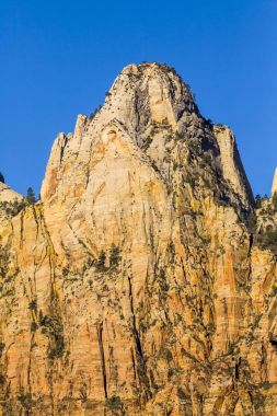 Zion national park