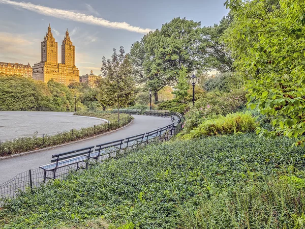 Central Park, New York, consommateur — Photo