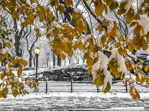 Central Park, Nowy Jork — Zdjęcie stockowe