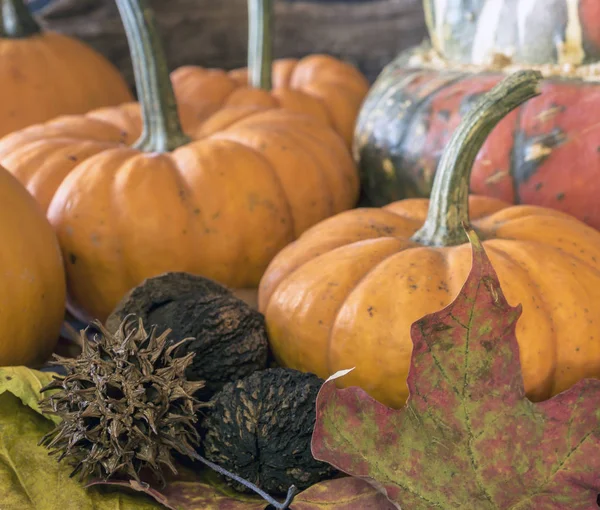 Herbststilleben — Stockfoto