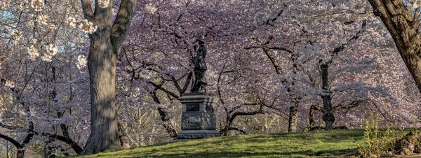 Central park, new york city våren — Stockfoto