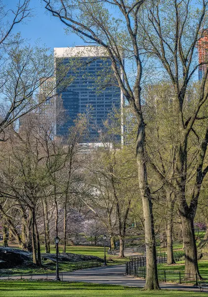 Central Park, primavera a New York — Foto Stock