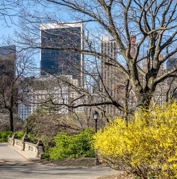 Central park, new york city våren — Stockfoto