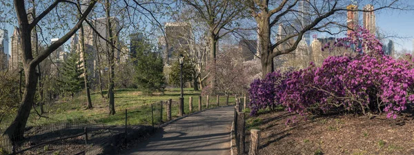 Central park, new york city våren — Stockfoto