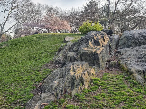 Central Park, New York City spring — Stock Photo, Image