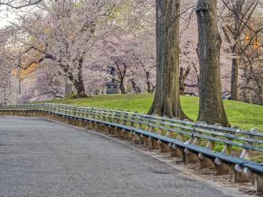 Central park, new york city erken Bahar