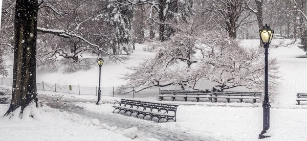 Central Park, New York City during winter snow storm
