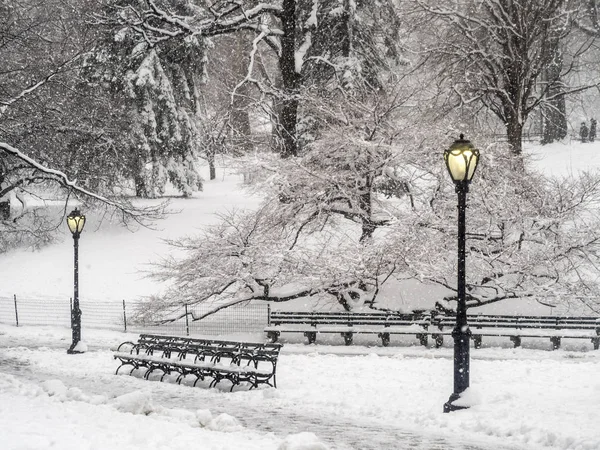 Central Park Nowym Jorku Podczas Burzy Śnieżnej Zimy — Zdjęcie stockowe