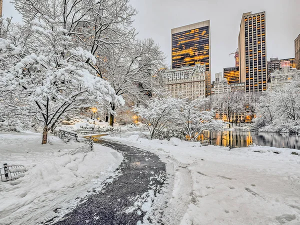 Central Park New York City Vintern Snöstorm — Stockfoto