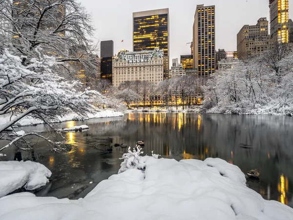 Central Park New York Durante Tempesta Neve Invernale — Foto Stock