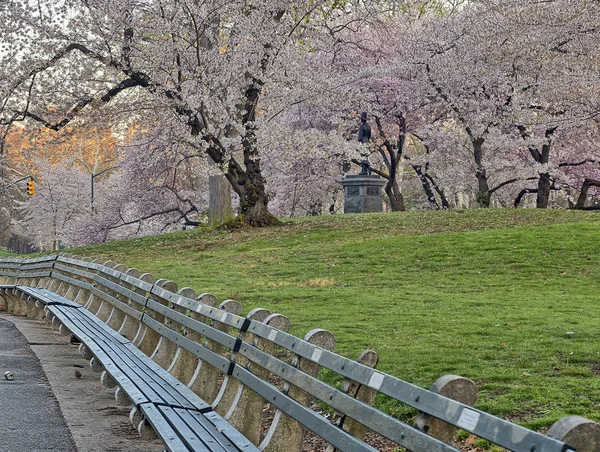 Центральный Парк Нью Йорк Ранней Весной — стоковое фото