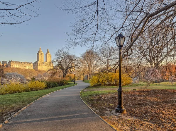 Central Park New York City Zeitigen Frühling — Stockfoto