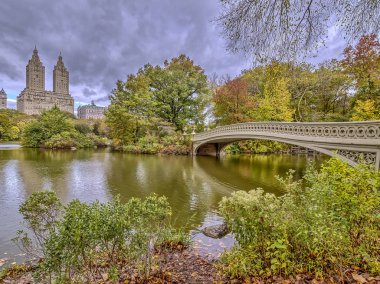 yay köprü Merkez Parkı