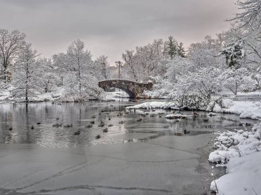 gapstow köprü central park, new york city