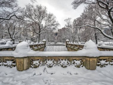  Central Park alışveriş merkezi 