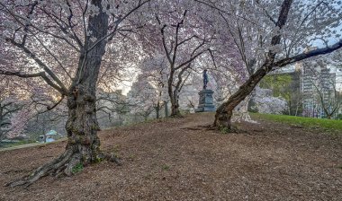 Bahar central park, new york city 
