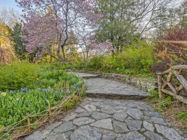 Bahar central park, new york city 